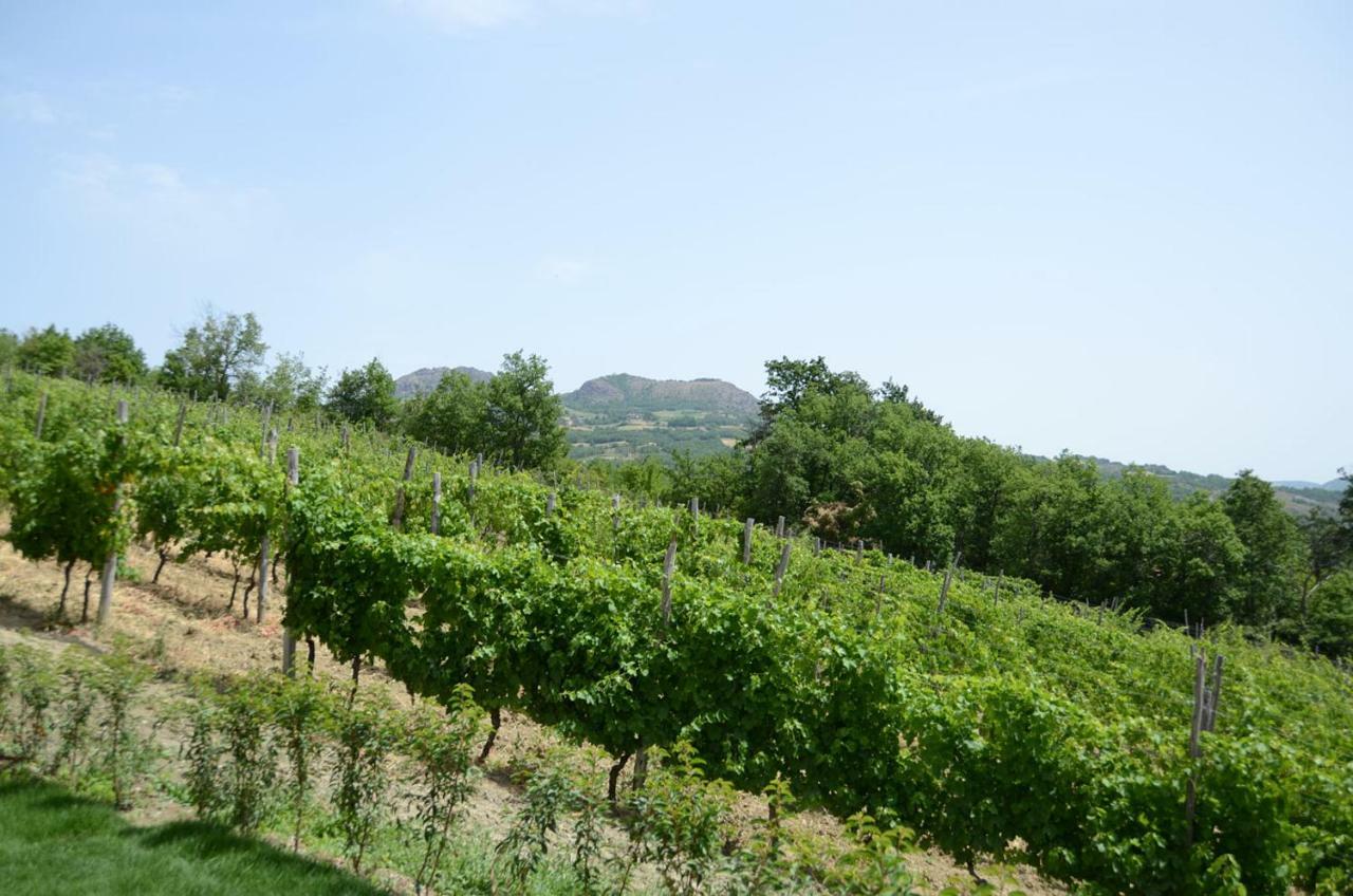 Agriturismo Ca' Del Sartu ボッビオ エクステリア 写真